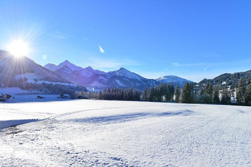 Sonn Alpin - Ferienwohnungen Grän Exteriér fotografie